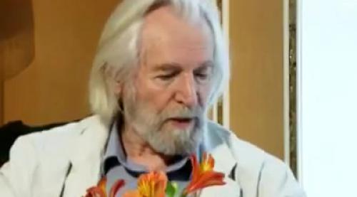 они нередко представляют собой наглядное