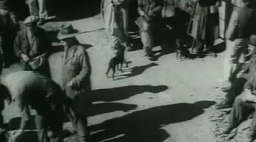 на следующей неделе в понедельник днем розмари и